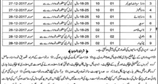 Vehari Hospital Jobs District 22 November 2017 (Total Jobs 47) Nawa-i-waqt Newspaper