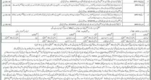 Abbottabad Elementary & Secondary Education KPK Jobs Express Newspaper 28 November 2017