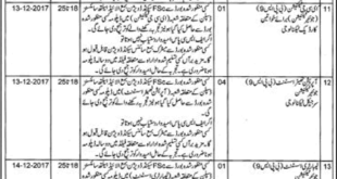 Lahore Lady Willington Hospital Jobs Jang Newspaper (Total Jobs 38) 27 November 2017