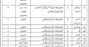 Karachi Cantt Maler Depot Ammunition Pak Army Jobs 2018 Nawa-i-waqt Newspaper