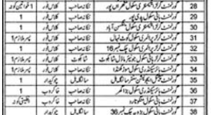 District Government Nankana Sahib Education Department, 40 Jobs 26 December Daily Pakistan Newspaper.