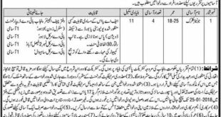 Punjab Highway department 04 jobs of Junior clerk 22nd December 2017 Dunya Newspaper