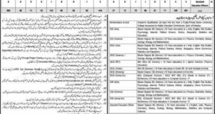 Lahore District Education Authority, Educators and AEO’s 905 Jobs 12 January 2018 Express Newspaper