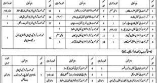 Kasur District Education Authority 49 Jobs, 06 January 2018 Daily Express Newspaper