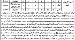 Layyah, District Education Authority 09 Jobs, January 2018, Daily Jang Newspaper