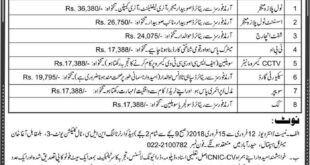 New Jobs 2018 in National Logistic Cell Sindh 28/01/2018 Daily Express Newspaper