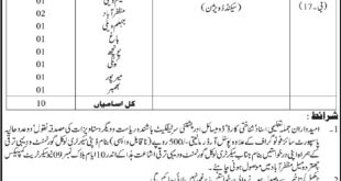 Locarl Government and Rural Development (AJK) 10 Jobs 24th February 2018 Daily Ausaf Newspaper