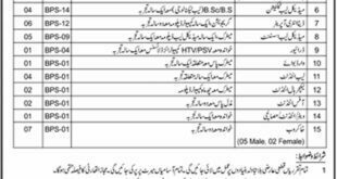 Medical College Azad Jammu & Kashmir (AJK) 40 Jobs 09 February 2018 Daily Jang Newspaper