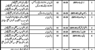 Punjab Mines & Mineral Department 12 Jobs 06 February 2018 Daily Jang Newspaper