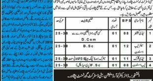 04 Jobs in City District Government Peshawar 06th February 2018 Daily Mashriq Newspaper
