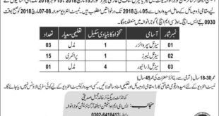Station Health Organization Gujranwala Cant 19 Jobs, 22nd February 2018, Daily Nawaye Waqat Newspaper