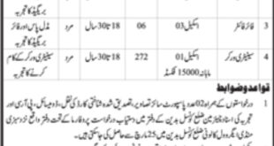 Jobs in District Council Badin Daily Dawn Newspaper 21 March 2018