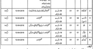 Shah Pur Division LJC Sargodha 17 Jobs 09 March 2018 Daily Pakistan Newspaper