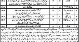 Director of coordination City District Government Peshawar Jobs 08 March 2018 Mashriq Newspaper