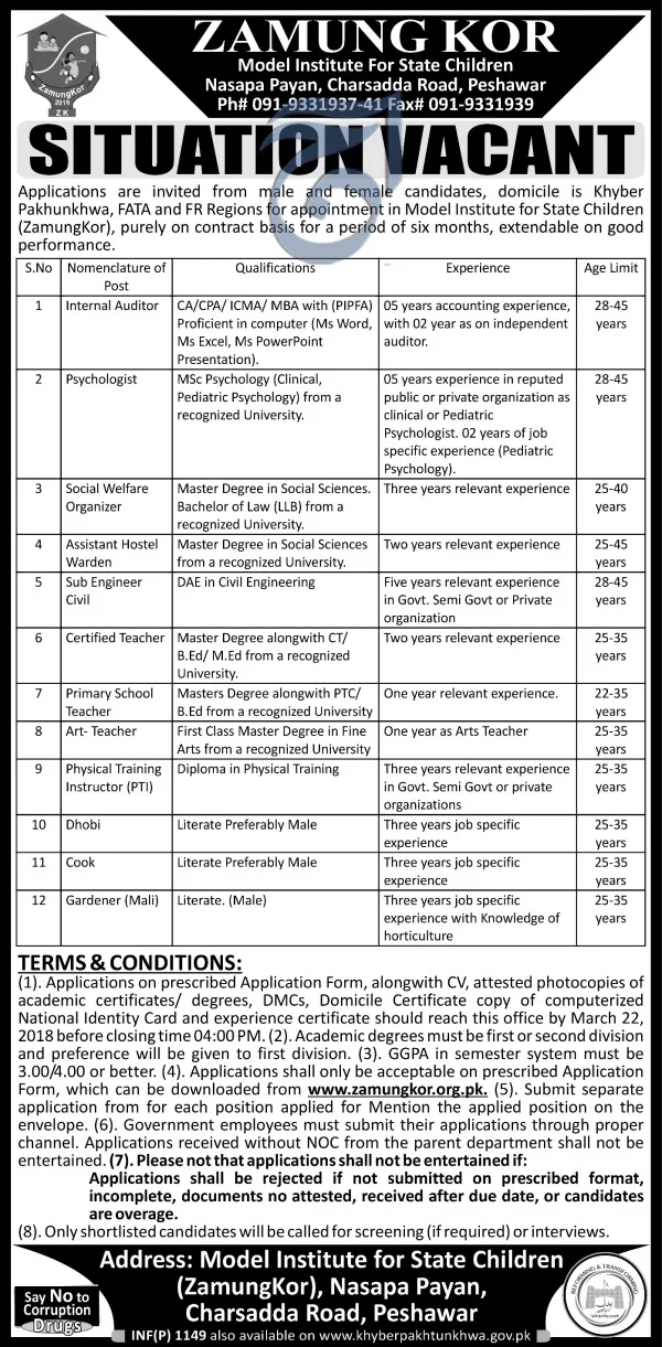 Jobs in Zamung Kor Model Institute of Children Daily Aaj Newspaper 13 March 2018