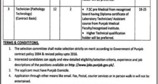 Dera Ghazi Khan Jobs 17 December 2018 Charge Nurse Nawaiwaqt Newspaper