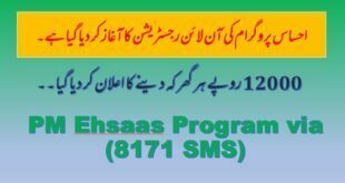 How To Apply Ehsaas Program via (8171 SMS)