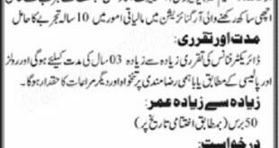 PUMHS Hospital Nawabshah Shaheed Benazirabad Director Finance Jobs March 2021