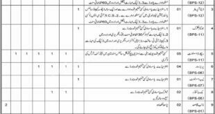 Directorate of Archives Government of Balochistan Jobs 2021